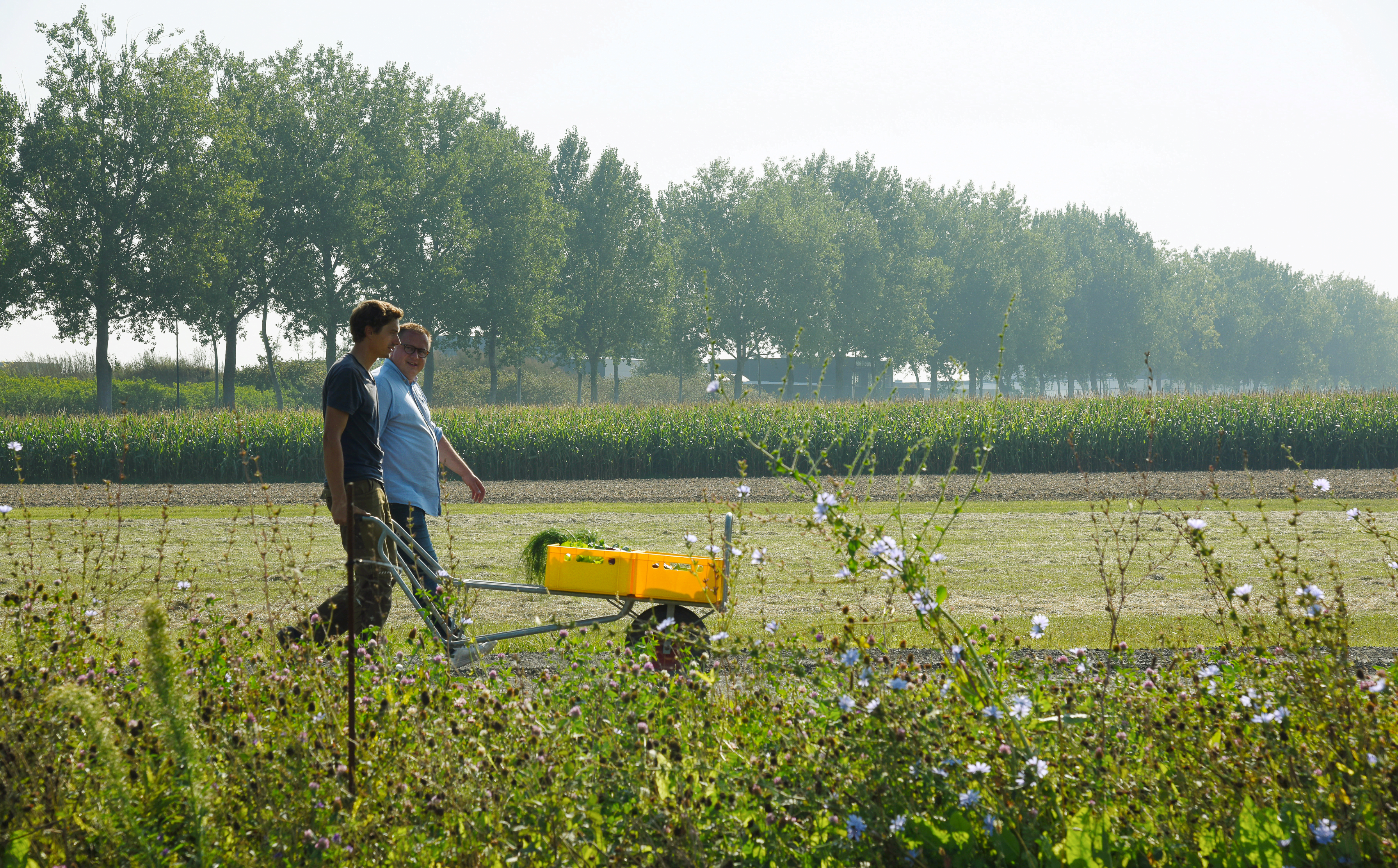 Schermafbeelding 2021-06-29 om 14.26.13
