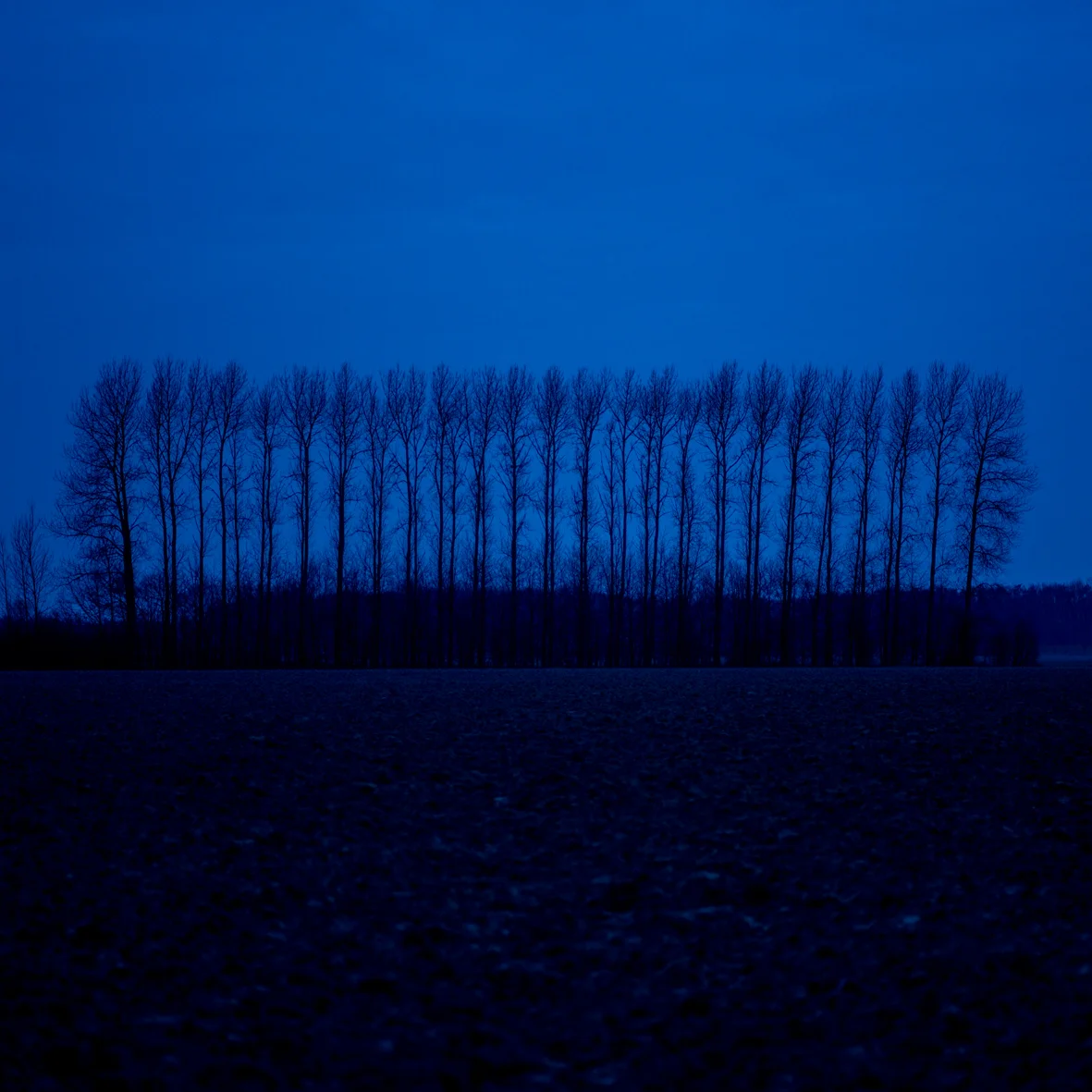 VLIPPENS-FROMDUSK-06