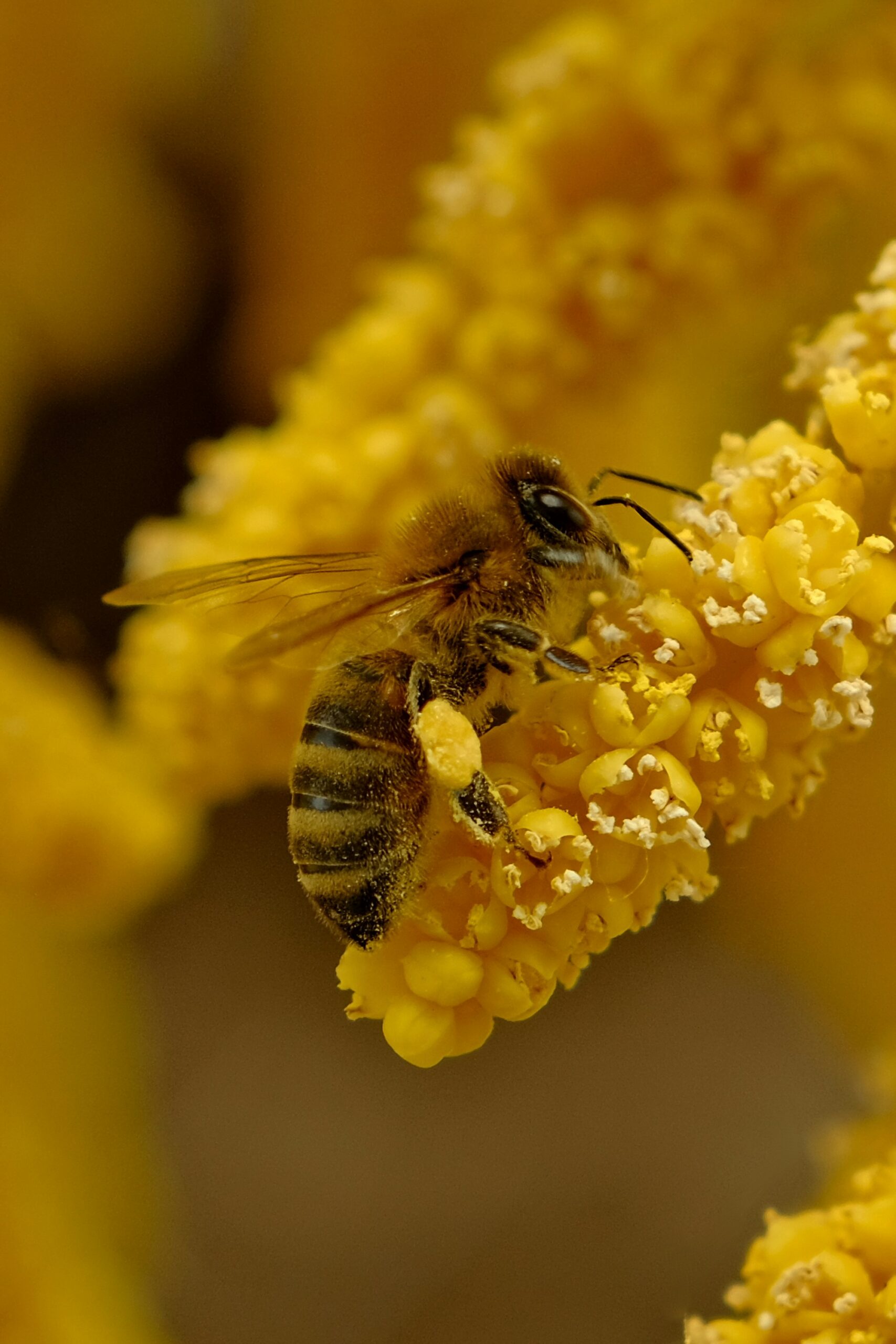 jozsef-szabo-eADcsFjYUiI-unsplash